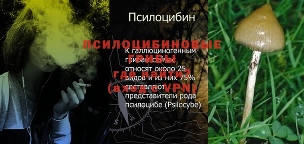 MDMA Алзамай