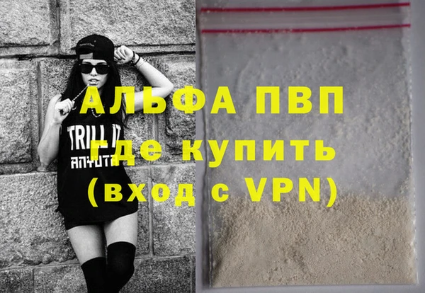 стаф Сясьстрой