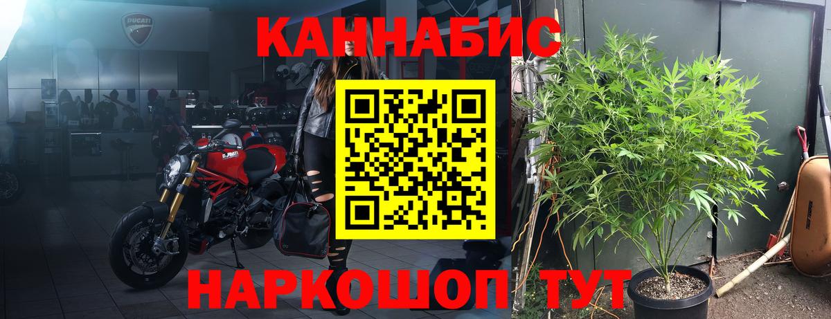 МАРИХУАНА THC 21%  Марихуана планчик  Вход с VPN  Бошки марихуана семена  Коркино 